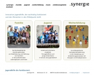 .synerg e