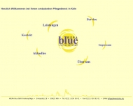 Bild WERA blue Krankenpflegedienst