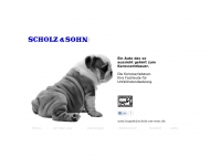Bild Scholz & Sohn GmbH