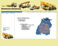 Bild Brielmann Autokrane