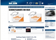 Bild GSS Automobile-Autohaus Sayler GmbH