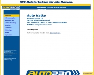 Bild Auto Check Hatke Die Markenwerkstatt