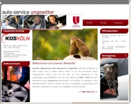 Bild Ungewitter Ralf Autoreparatur