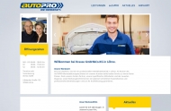 Bild AUTO CHECK Krause GmbH & Co. KG