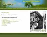 Bild Sequoia GbR Schmitz u. Halfmann Neue Baumpflege