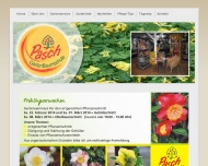 Bild Pasch OHG