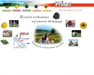 Bild Prgel Martin Bauunternehmen