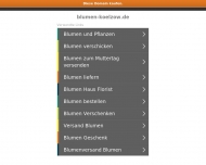 Bild Blumen Klzow