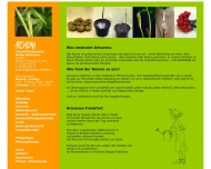 Bild ARISAEMA Blumen