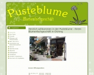 Bild Pusteblume Blumenfachgeschft