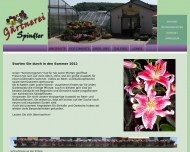 Bild Blumenladen Schnippdistel