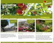 Bild Giesebrecht Gartencenter KG