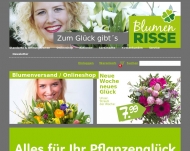 Bild Blumen Risse GmbH & Co. KG