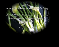Bild Blumen - Ambiente
