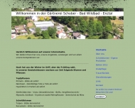 Bild Schober Erich