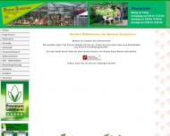 Bild Blumen Siekmann