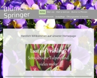 Bild Blumen Springer
