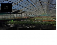 Bild Bongartz Blumen Gartencenter