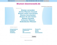 Bild Dnnewald Blumen