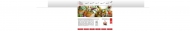 Bild Partyservice Timmen GmbH