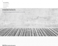 Bild Webseite Meilenstein Software Langendamm
