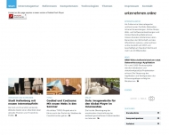 Bild Unternehmen Online GmbH i. G.