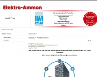 Website Ammon Christian & Co.