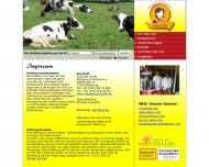 Bild Schaufler GmbH