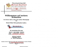 Bild Seyfried Michael
