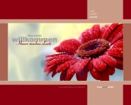 Website Udo Luy