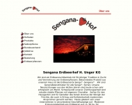 Bild SENGANA-Erdbeerhof H. Unger KG Obst u. Gemse Beet- u. Balkonpflanzen