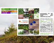 Bild Bolz Ingo Dipl.-Ing. Gartengestaltung Garten- und Landschaftsbau