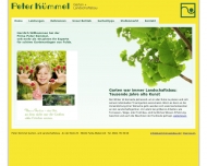 Bild Garten- u. Landschaftsbau Kmmel Peter GmbH & Co. KG