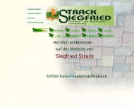 Bild Strack Garten- und Landschaftsbau
