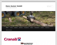 Bild Hans Aumer GmbH