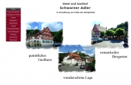 Bild Schwarzer Adler