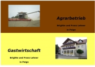 Bild Lehner