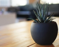 Bild Gaststtte Restaurant - Heidjer-Stube