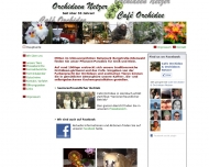 Bild Cafe Orchidee
