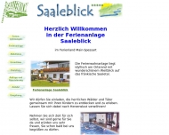 Bild Saaleblick