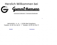 Bild Gummi-Hamann Inh. Rolf Hamann e.K.