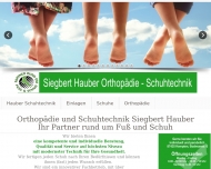 Bild Hauber Siegbert