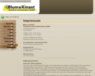 Website Blum & Kinast Tischlerei -Innenausbau Gesellschaft