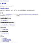 Bild Netzer Angela