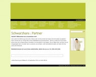 Website Ci Capital & Immobilien Service