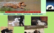 Bild Lenz Kerstin Hundepension und Salon