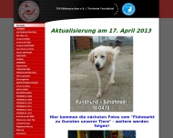Bild Tierheim Tensbttel