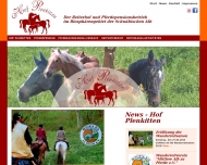 Bild Pferdepension u. Aufzuchtbetrieb Hof Plenkitten