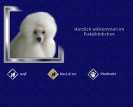 Bild Weider Erich , Birgit Hundesalon u. Pudelzucht