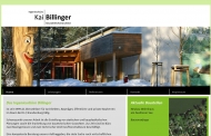 Bild Ingenieurbro Kai Billinger GmbH